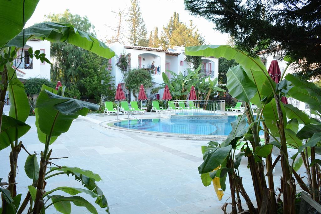 Villa Nergis Bitez Exteriér fotografie